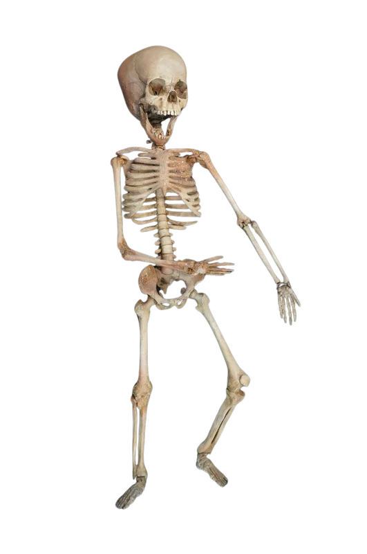 2026_03_10_3217627
